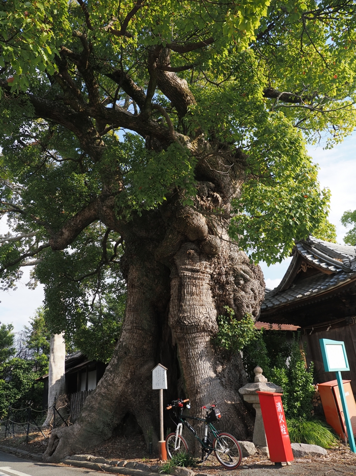 251208_PC086084 (2).jpg - 847,203Bytes